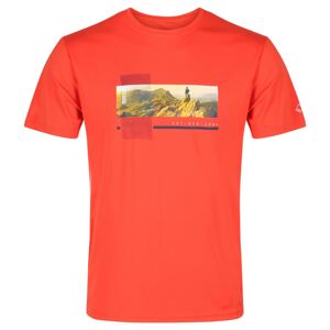 Pánské tričko regatta fingal v oranžová l