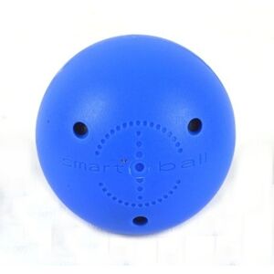Potent Hockey Balónek Smart Ball, modrá